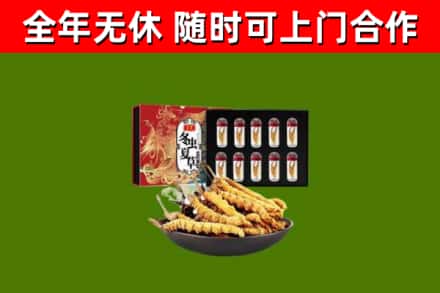曲周回收冬虫夏草价格