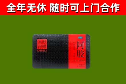 曲周回收阿胶