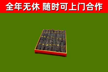曲周回收海参
